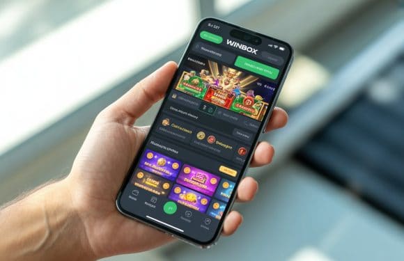 Winbox Mobile App Review: A Friendly Guide to Betting on the Go